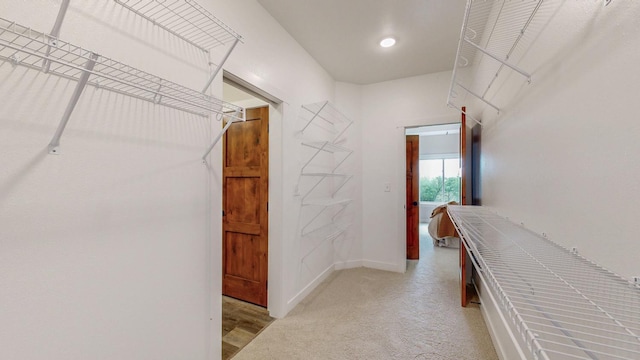 509 Golfview Ave, Zumbrota, MN 55992 - walk in closet with light carpet