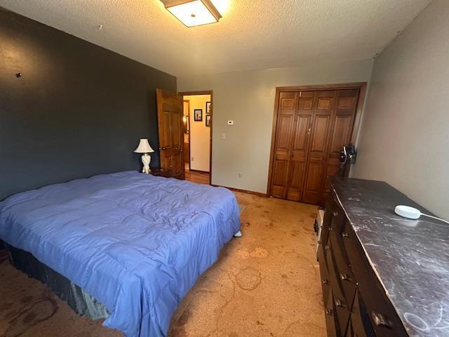 38 Locust Dr, Babbitt, MN 55706 - bedroom featuring a closet, light colored carpet, and a textured ceiling