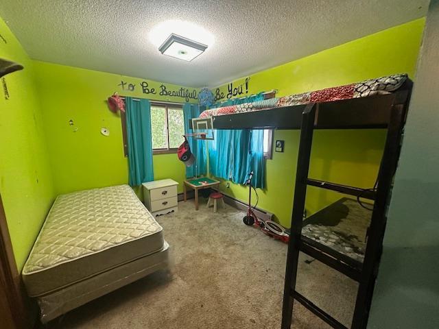 38 Locust Dr, Babbitt, MN 55706 - bedroom featuring a textured ceiling and carpet