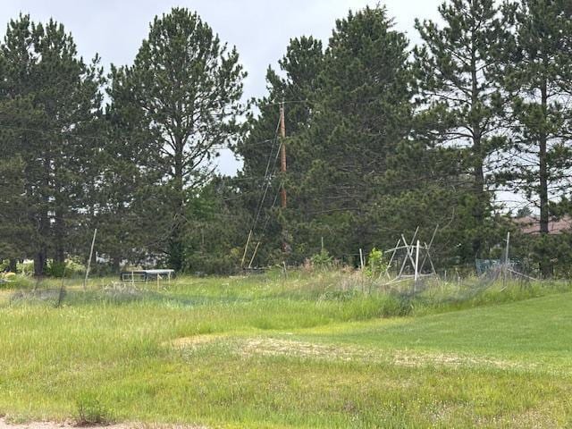 38 Locust Dr, Babbitt, MN 55706 - view of yard