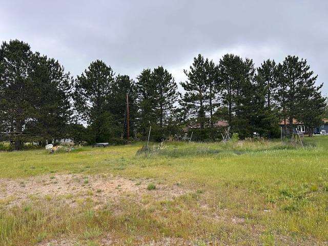 38 Locust Dr, Babbitt, MN 55706 - view of yard