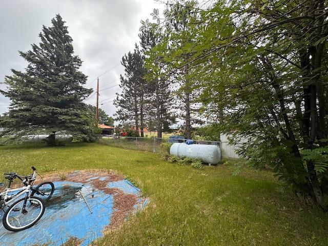 38 Locust Dr, Babbitt, MN 55706 - view of yard
