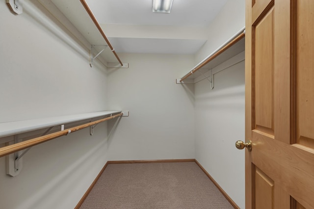 332 Waite Ave S, Saint Cloud, MN 56301 - spacious closet with carpet