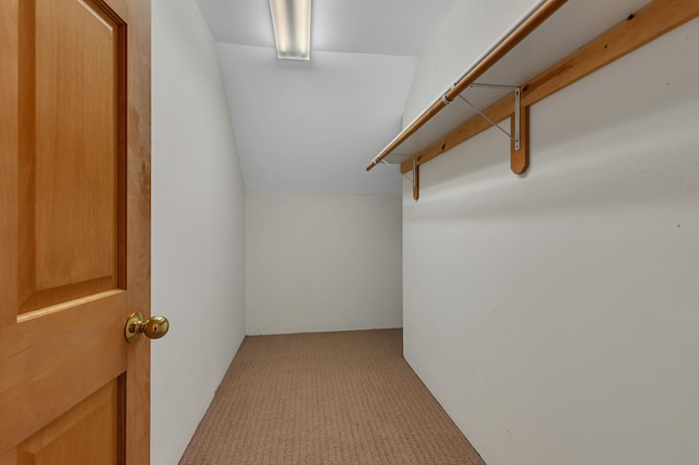 332 Waite Ave S, Saint Cloud, MN 56301 - walk in closet with carpet