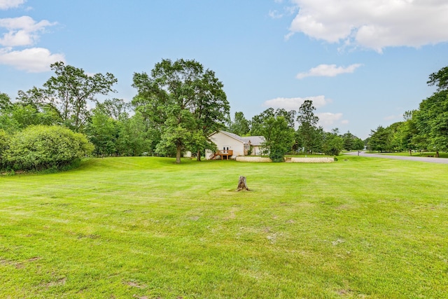 3220 Vine St, Cambridge, MN 55008 - view of green lawn with view of scattered trees
