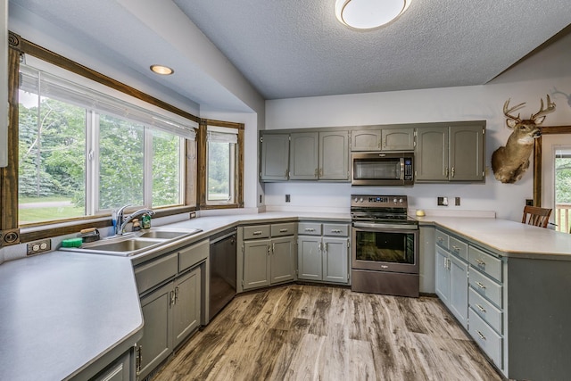 3220 Vine St, Cambridge, MN 55008 - kitchen featuring stainless steel appliances, a peninsula, gray cabinets, wood finished floors, and a textured ceiling
