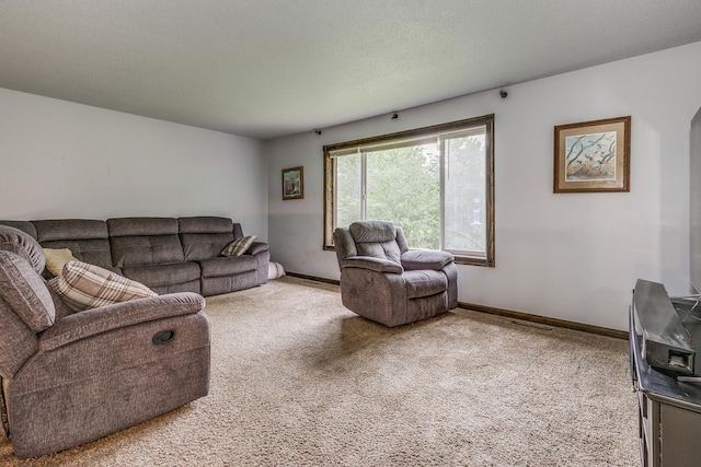 3220 Vine St, Cambridge, MN 55008 - living room with carpet floors and baseboards
