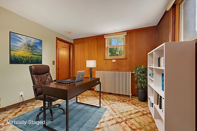 895 Humboldt Ave W, Saint Paul, MN 55118 - office with wood walls and radiator