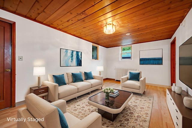 895 Humboldt Ave W, Saint Paul, MN 55118 - living area with radiator, wood ceiling, and light wood finished floors