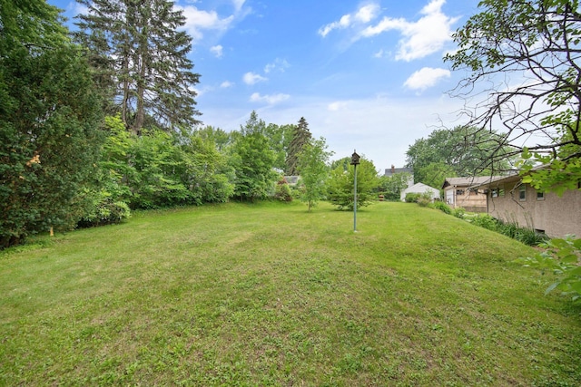 895 Humboldt Ave W, Saint Paul, MN 55118 - view of grassy yard