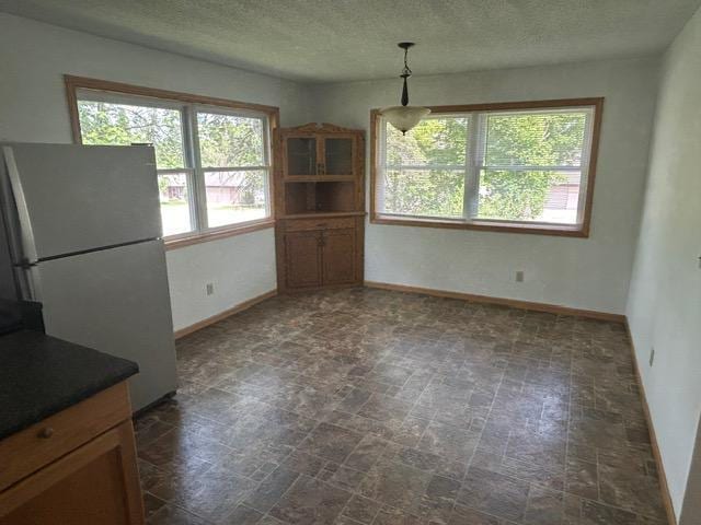 903 3rd Ave, Grand Rapids, MN 55744 - unfurnished dining area featuring baseboards and a textured ceiling