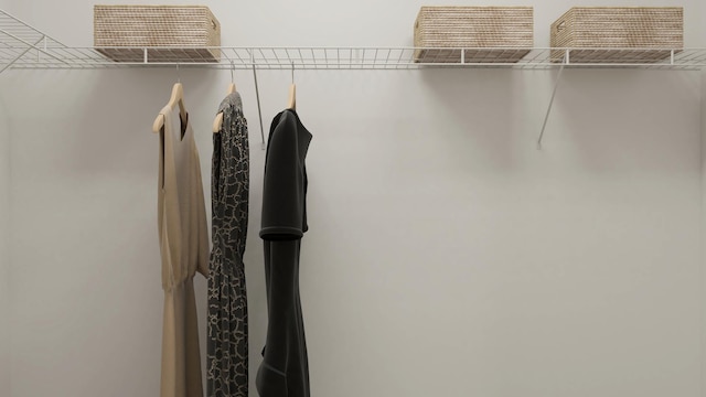 26610 8th St W, Zimmerman, MN 55398 - view of spacious closet