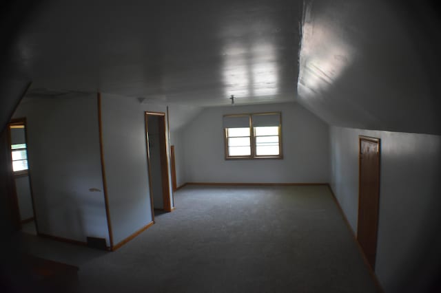 13 S St, Morris, MN 56267 - bonus room with vaulted ceiling and carpet