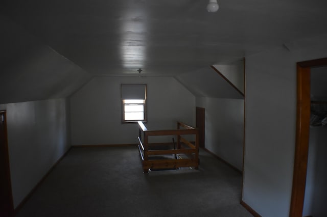 13 S St, Morris, MN 56267 - additional living space with vaulted ceiling and carpet floors
