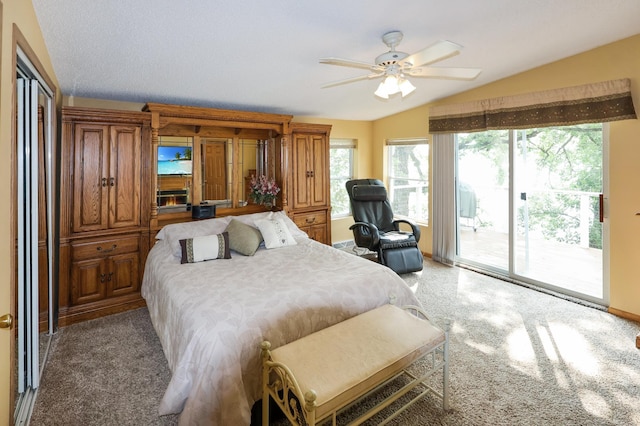 10196 48th St, Clear Lake, MN 55319 - bedroom featuring access to exterior, lofted ceiling, and light colored carpet