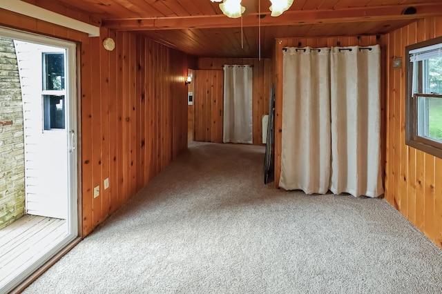 10196 48th St, Clear Lake, MN 55319 - carpeted spare room featuring wooden walls and wooden ceiling
