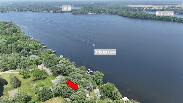 10196 48th St, Clear Lake, MN 55319 - aerial view of a nearby body of water and a forest