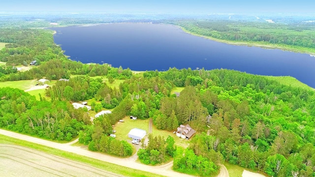 11672 147th Ave, Straight River Twp, MN 56464 - aerial view of a forest and a nearby body of water