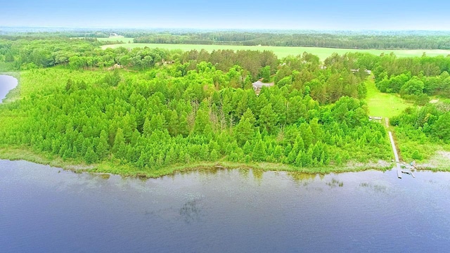 11672 147th Ave, Straight River Twp, MN 56464 - aerial view of a nearby body of water