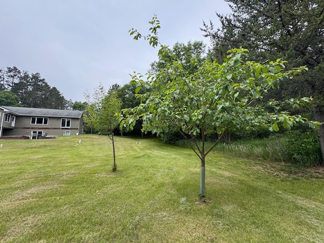 11672 147th Ave, Straight River Twp, MN 56464 - view of green lawn