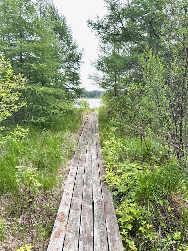 11672 147th Ave, Straight River Twp, MN 56464 - surrounding community with a water view