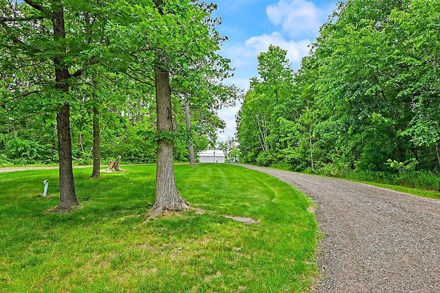 11672 147th Ave, Straight River Twp, MN 56464 - view of front of home with a front lawn