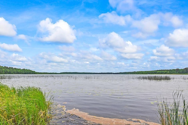 11672 147th Ave, Straight River Twp, MN 56464 - water view