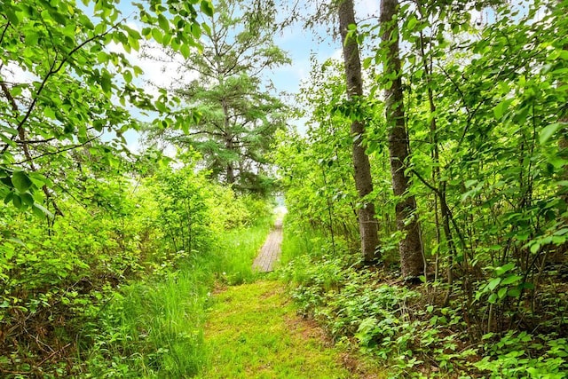 11672 147th Ave, Straight River Twp, MN 56464 - view of nature