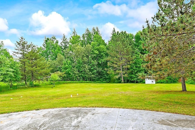 11672 147th Ave, Straight River Twp, MN 56464 - view of grassy yard