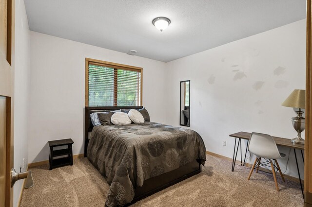 30934 115th St, Princeton, MN 55371 - photo 19