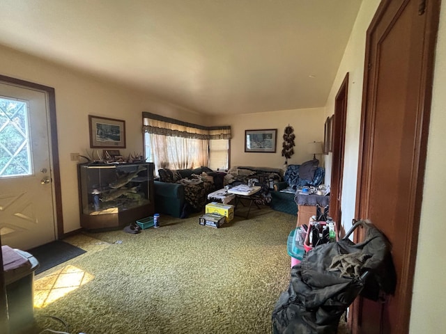609 11th St N, Benson, MN 56215 - view of carpeted living room