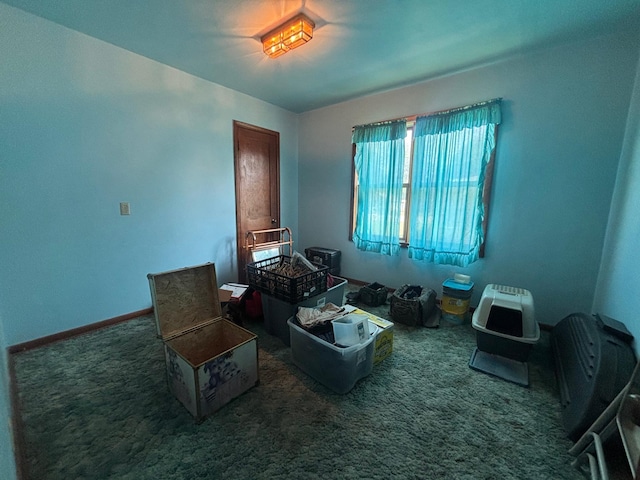 609 11th St N, Benson, MN 56215 - misc room with carpet floors