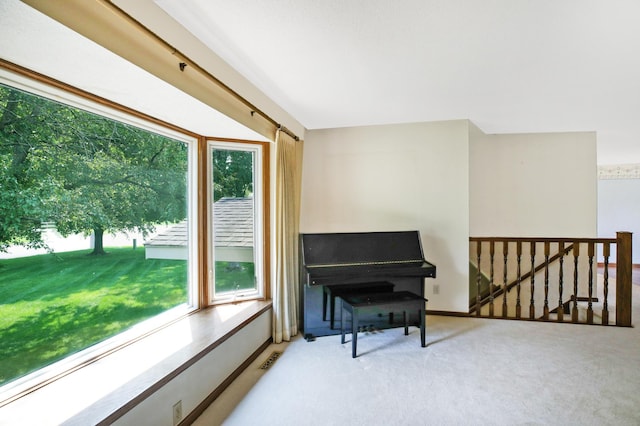 930 Minekahda Pl, Owatonna, MN 55060 - sitting room with carpet and an upstairs landing