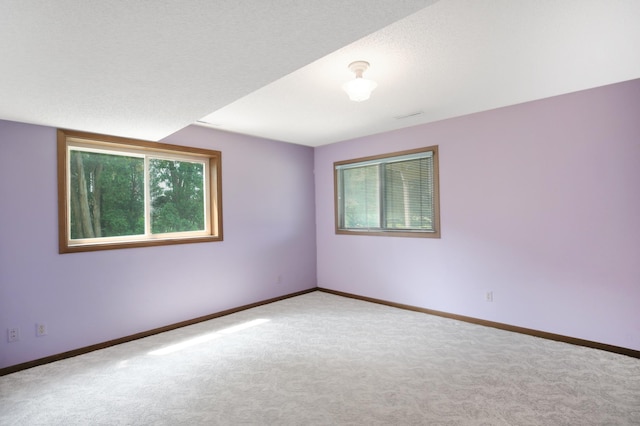 930 Minekahda Pl, Owatonna, MN 55060 - carpeted spare room with plenty of natural light