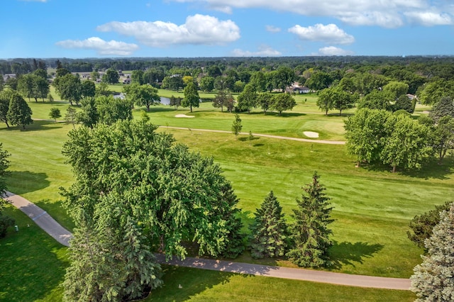 930 Minekahda Pl, Owatonna, MN 55060 - bird's eye view of a golf course and a large body of water