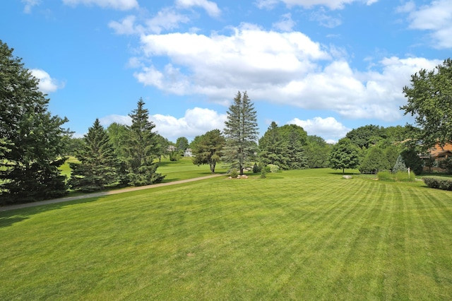 930 Minekahda Pl, Owatonna, MN 55060 - surrounding community with a lawn