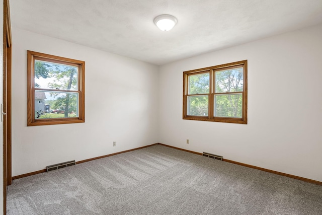 919 Mosher Ave, Owatonna, MN 55060 - photo 26