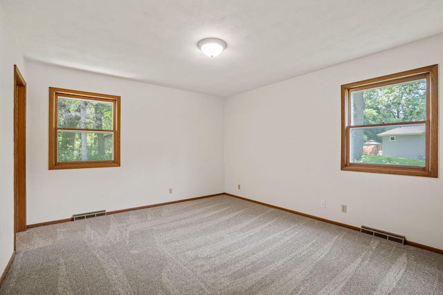 919 Mosher Ave, Owatonna, MN 55060 - photo 27