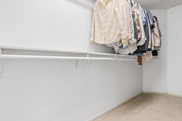3817 Dunbar Ct N, Brooklyn Park, MN 55443 - walk in closet featuring carpet floors