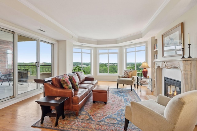 8301 Creekside Cir Unit 570, Bloomington, MN 55437 - living room featuring a raised ceiling, crown molding, a fireplace, and wood finished floors