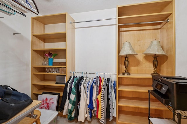 8301 Creekside Cir Unit 570, Bloomington, MN 55437 - view of spacious closet