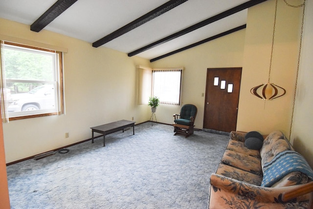 21840 320th Ave NW, Warren, MN 56762 - living area featuring carpet flooring