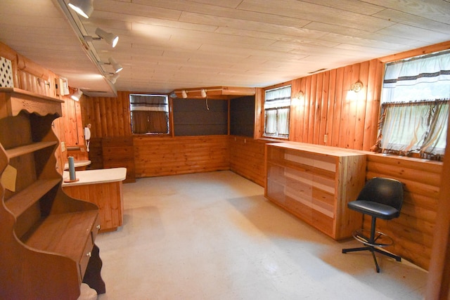 21840 320th Ave NW, Warren, MN 56762 - interior space with wooden walls, healthy amount of natural light, wood ceiling, and light flooring