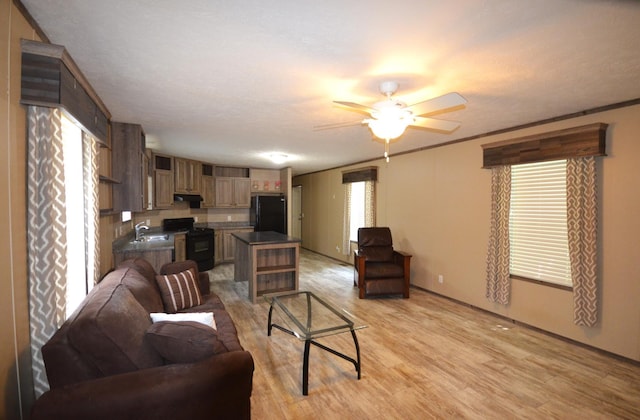 311 Mozart Ave E, Mankato, MN 56001 - living area featuring a ceiling fan and light wood finished floors