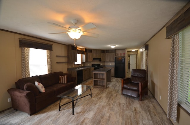 311 Mozart Ave E, Mankato, MN 56001 - living room featuring a ceiling fan and light wood finished floors