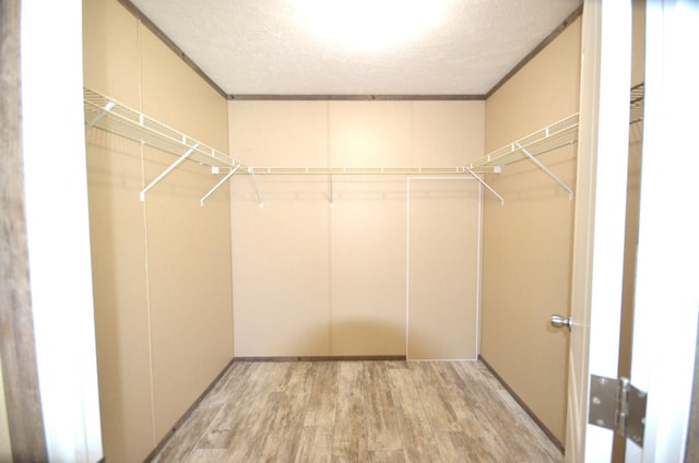 311 Mozart Ave E, Mankato, MN 56001 - spacious closet with light wood finished floors