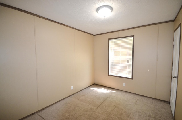 311 Mozart Ave E, Mankato, MN 56001 - carpeted spare room with ornamental molding and a textured ceiling