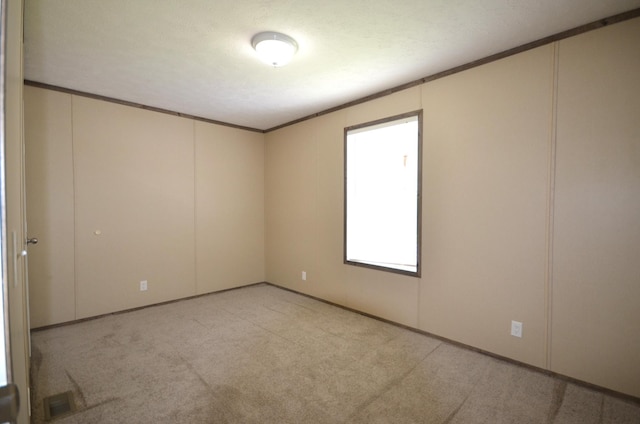 311 Mozart Ave E, Mankato, MN 56001 - carpeted spare room featuring crown molding