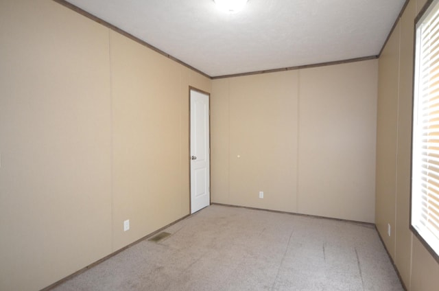 311 Mozart Ave E, Mankato, MN 56001 - empty room featuring ornamental molding and light colored carpet