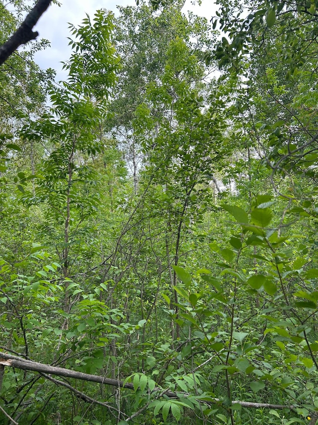 TBD 53rd Ave SW, Williams, MN 56686